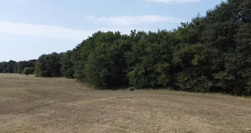 County Road 314 Terrell, TX 75161