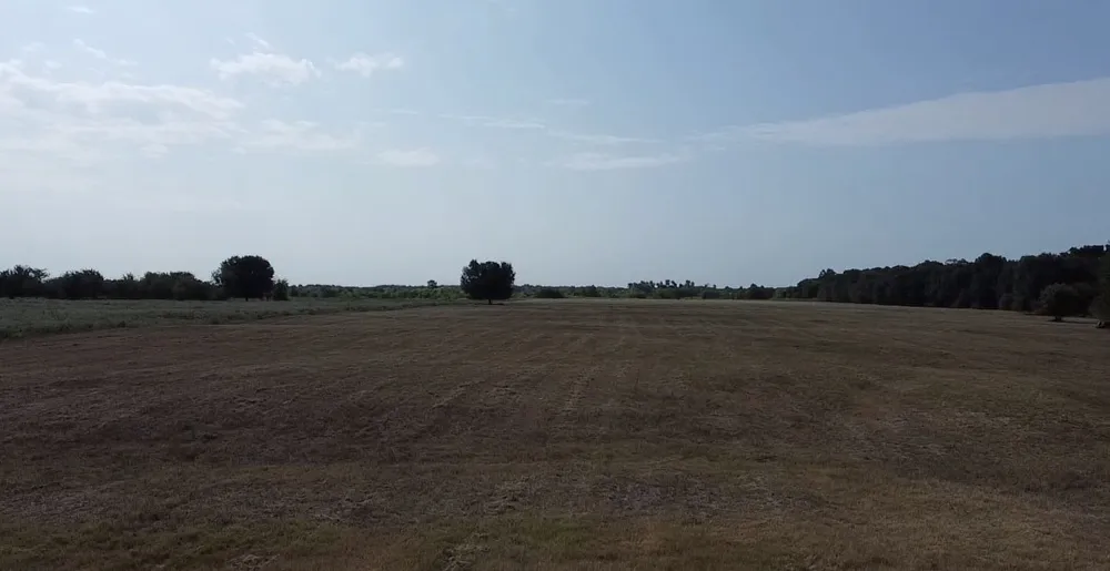 County Road 314 Terrell, TX 75161
