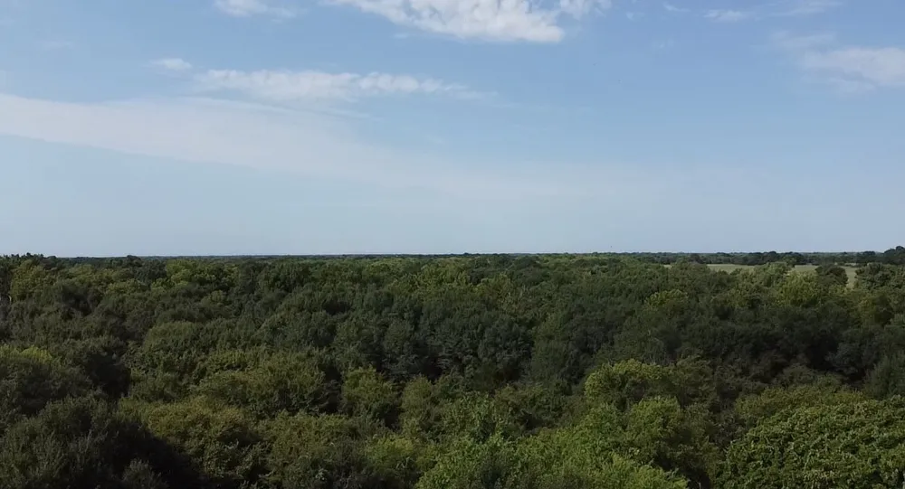 County Road 314 Terrell, TX 75161