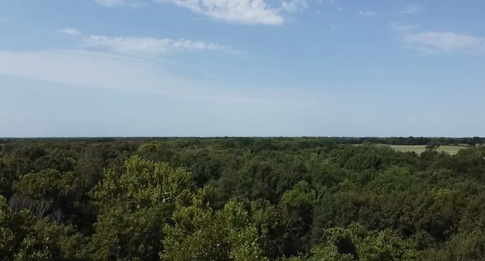 County Road 314 Terrell, TX 75161