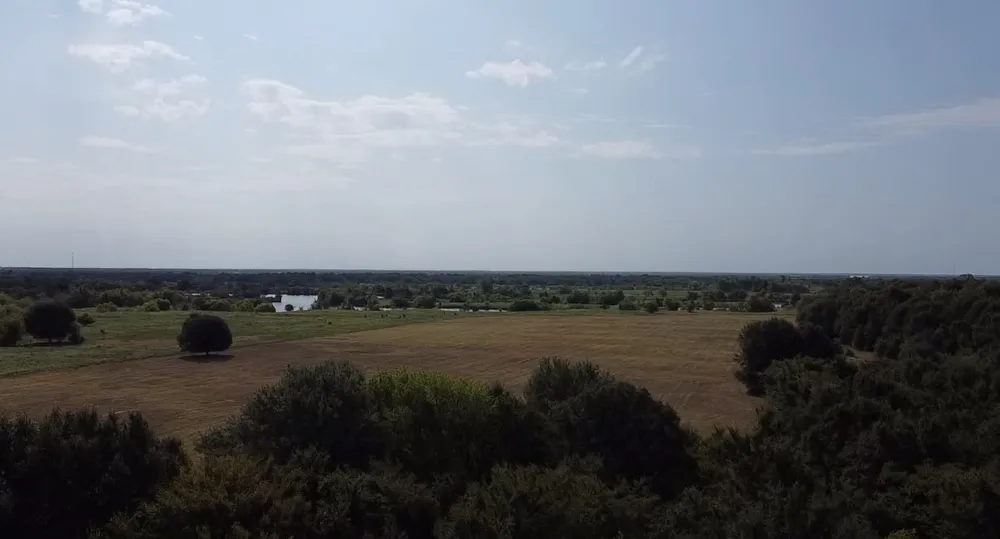 County Road 314 Terrell, TX 75161