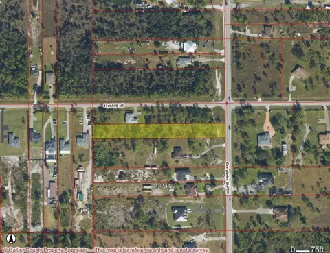 40 EVERGLADES BOULEVARD