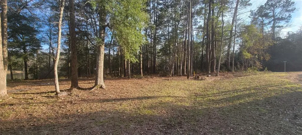 250 Wood Haven Haven Livingston, TX 77351