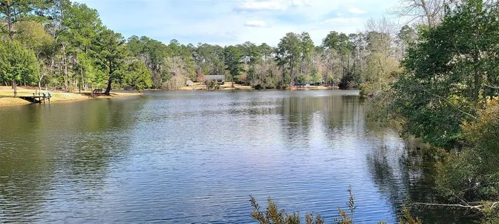 250 Wood Haven Haven Livingston, TX 77351
