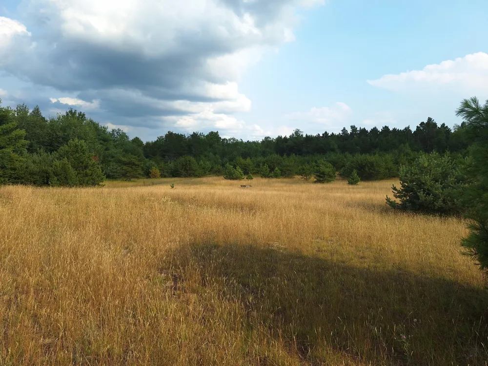 Lakola Road Leroy, MI 49655