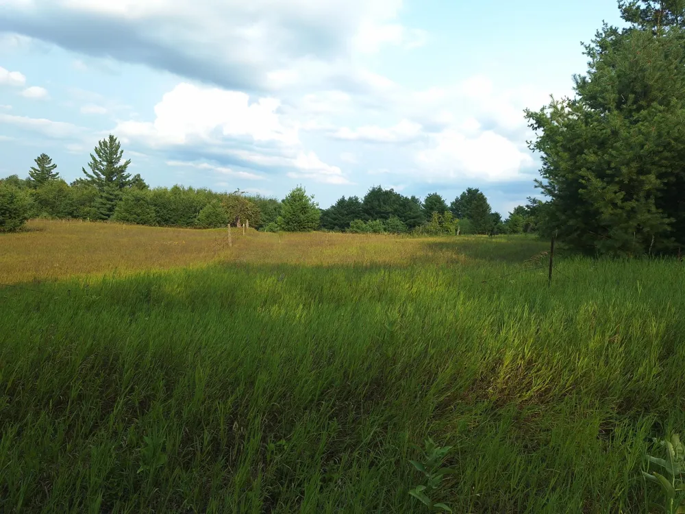 Lakola Road Leroy, MI 49655