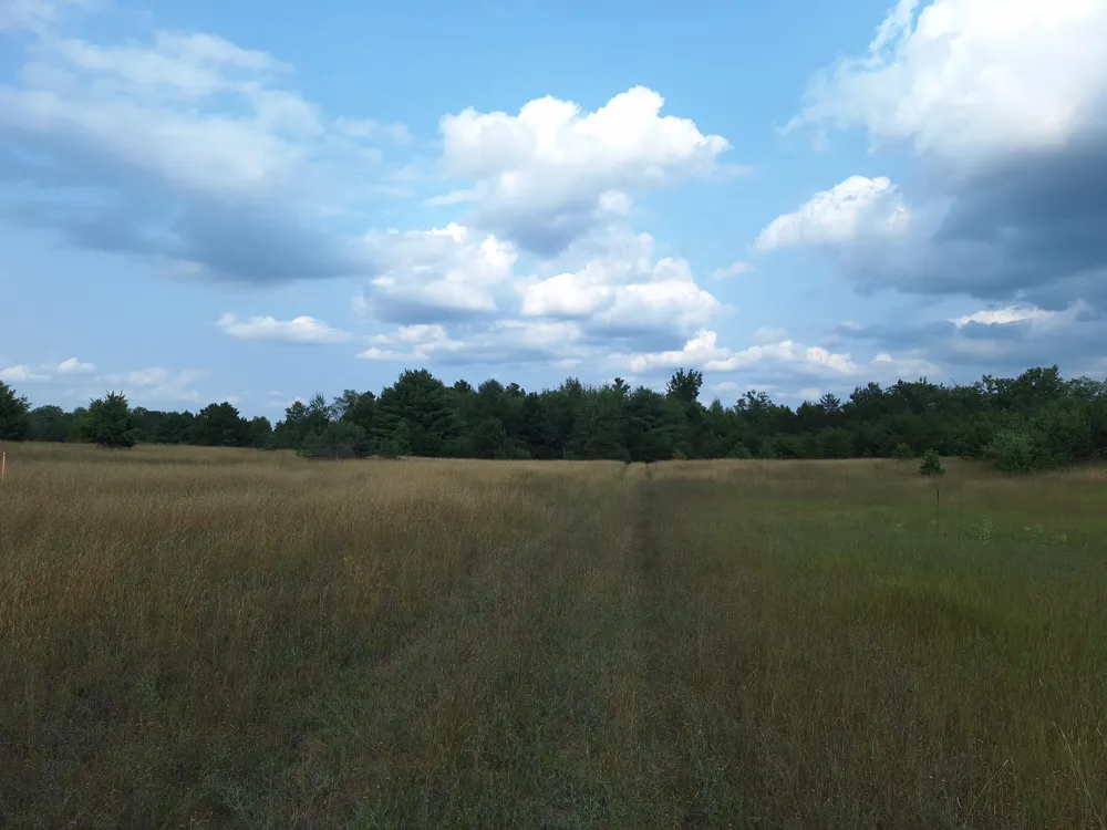 Lakola Road Leroy, MI 49655