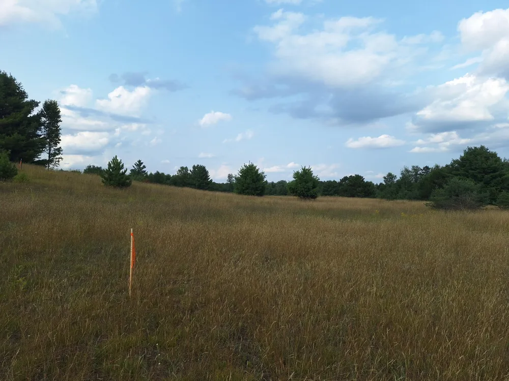 Lakola Road Leroy, MI 49655