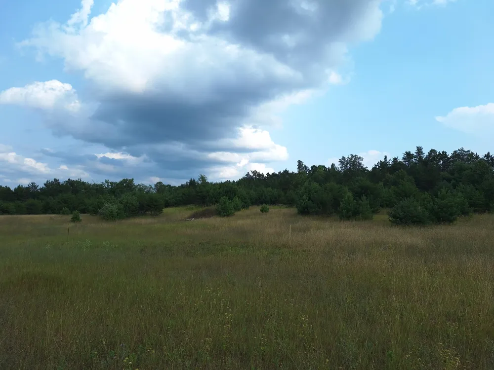 Lakola Road Leroy, MI 49655