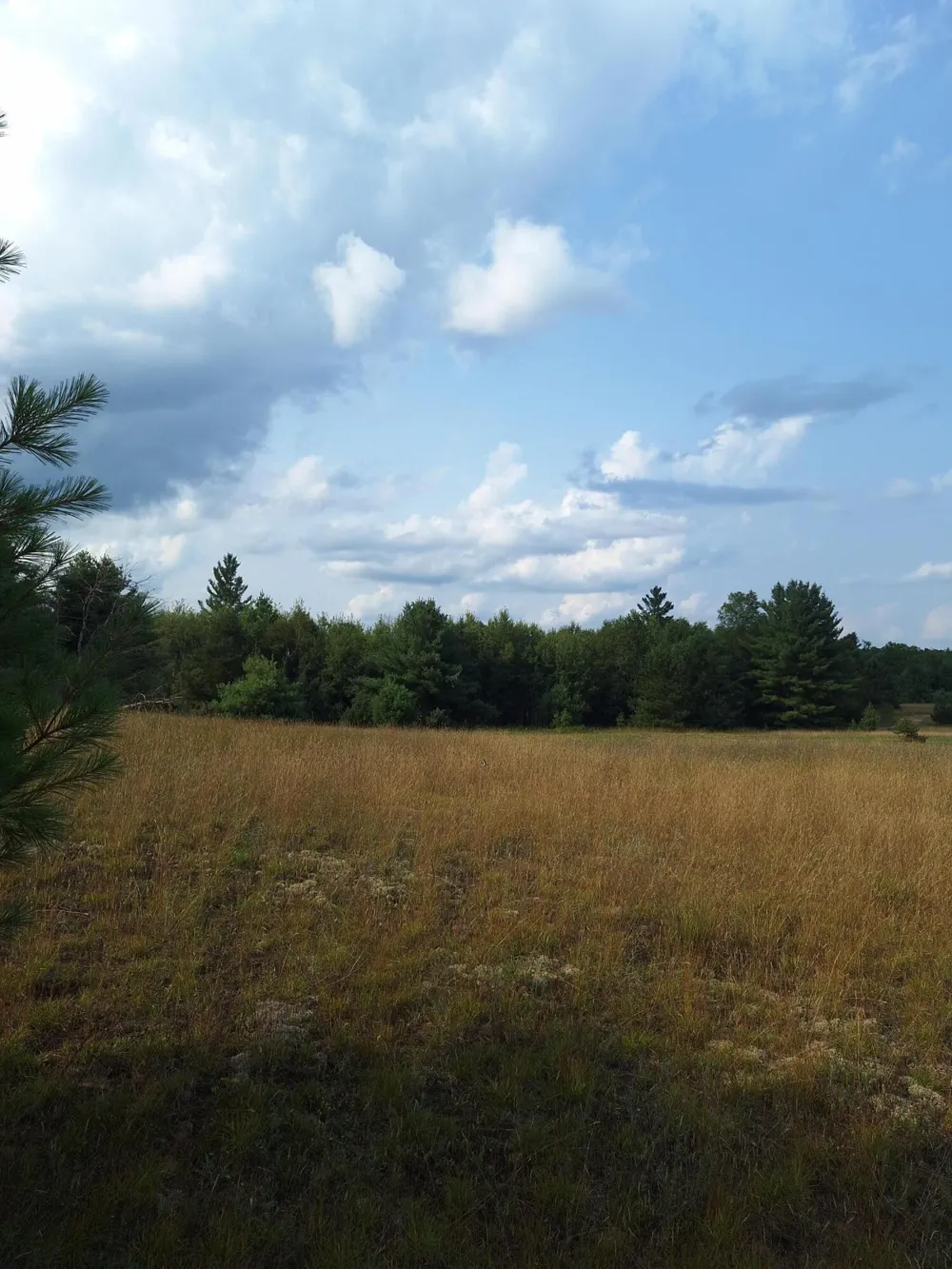 Lakola Road Leroy, MI 49655