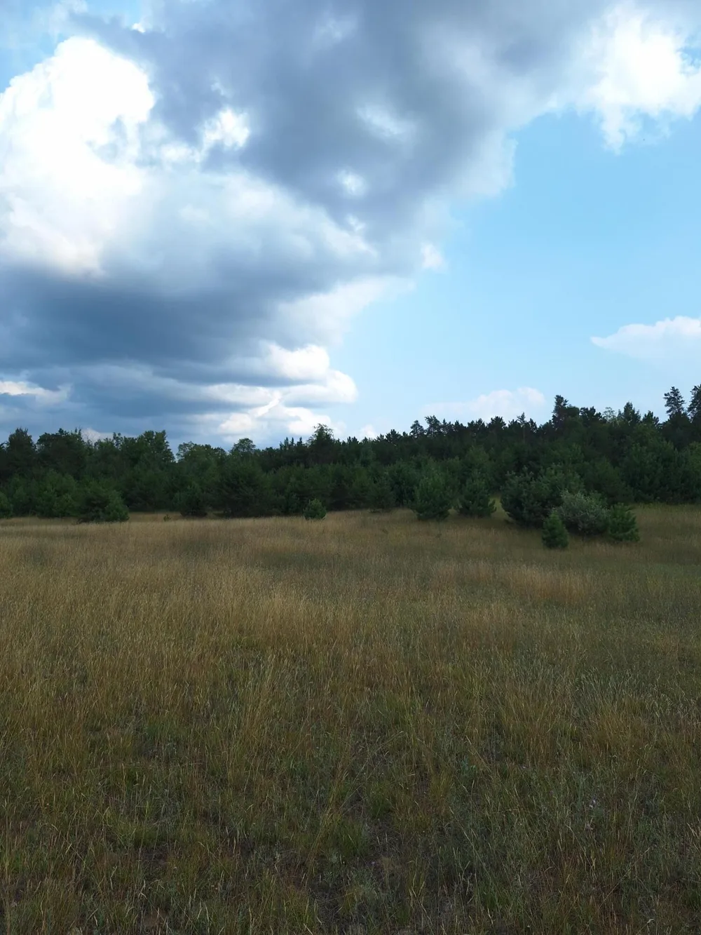 Lakola Road Leroy, MI 49655