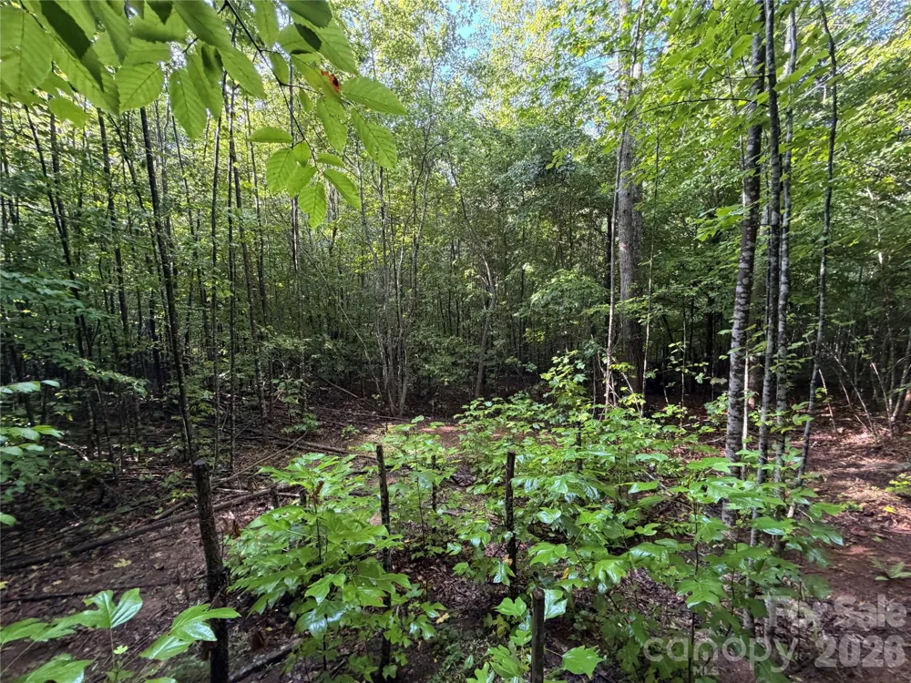 00 226 Highway S Union Mills, NC 28167