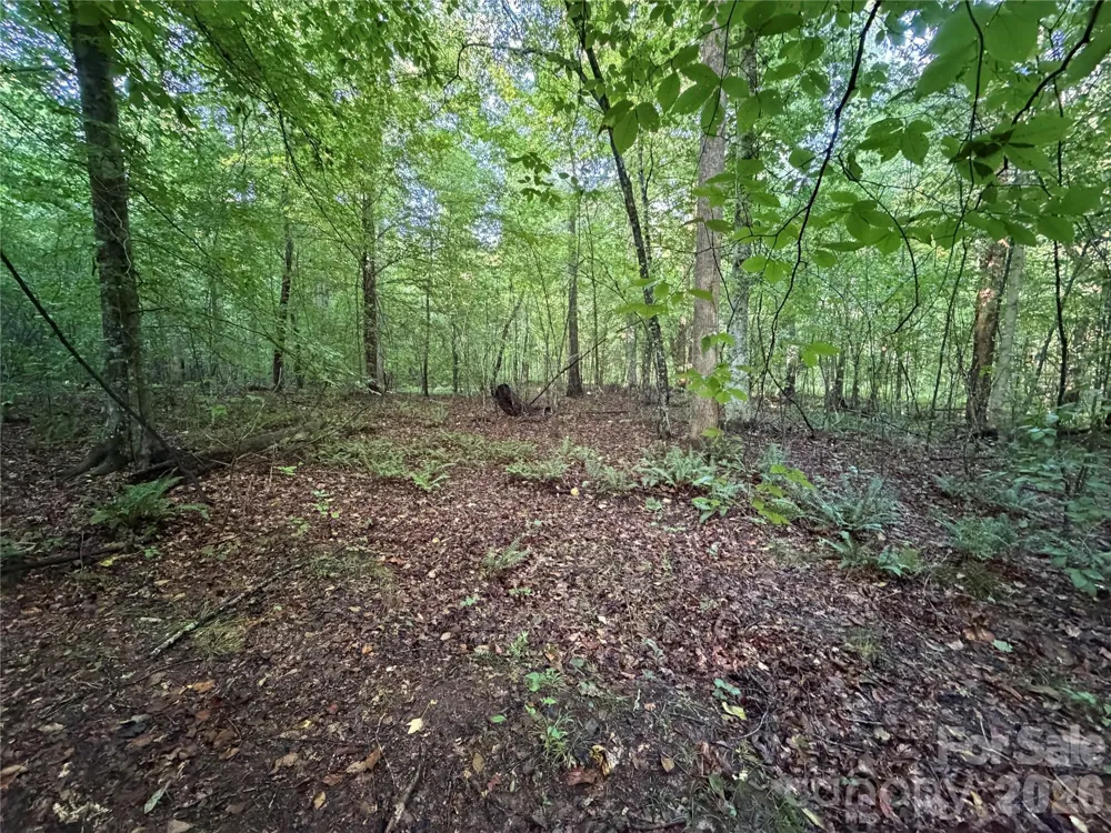 00 226 Highway S Union Mills, NC 28167