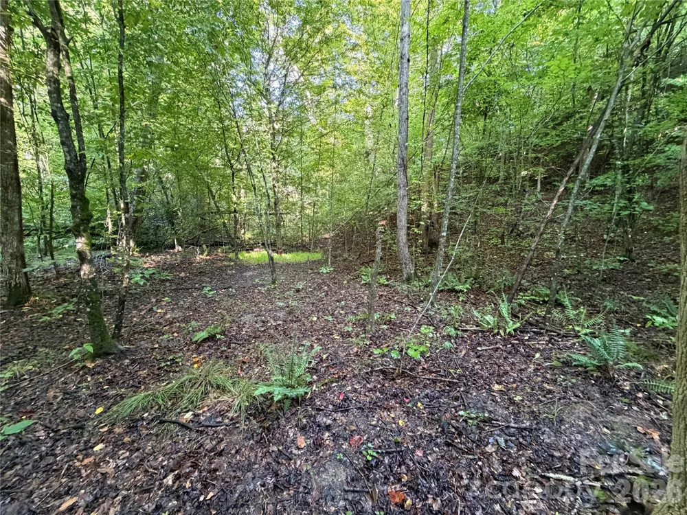 00 226 Highway S Union Mills, NC 28167