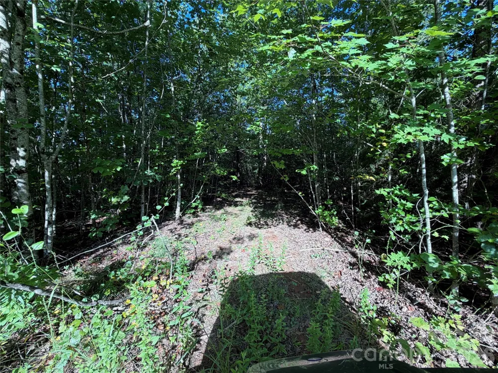 00 226 Highway S Union Mills, NC 28167
