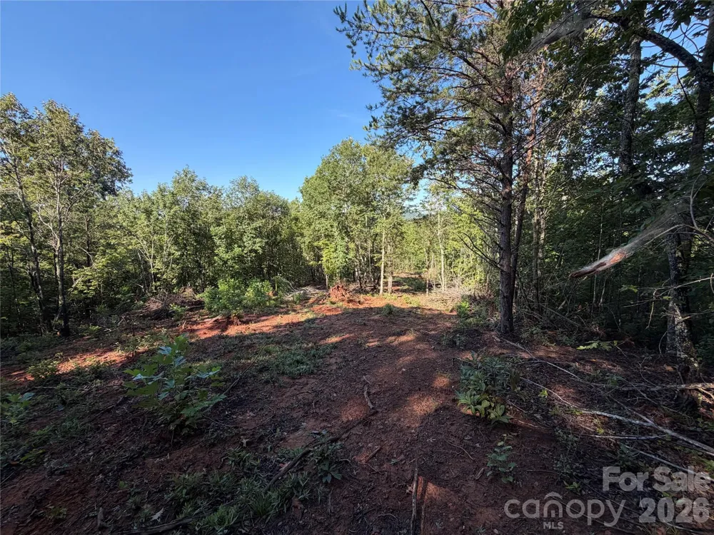 00 226 Highway S Union Mills, NC 28167