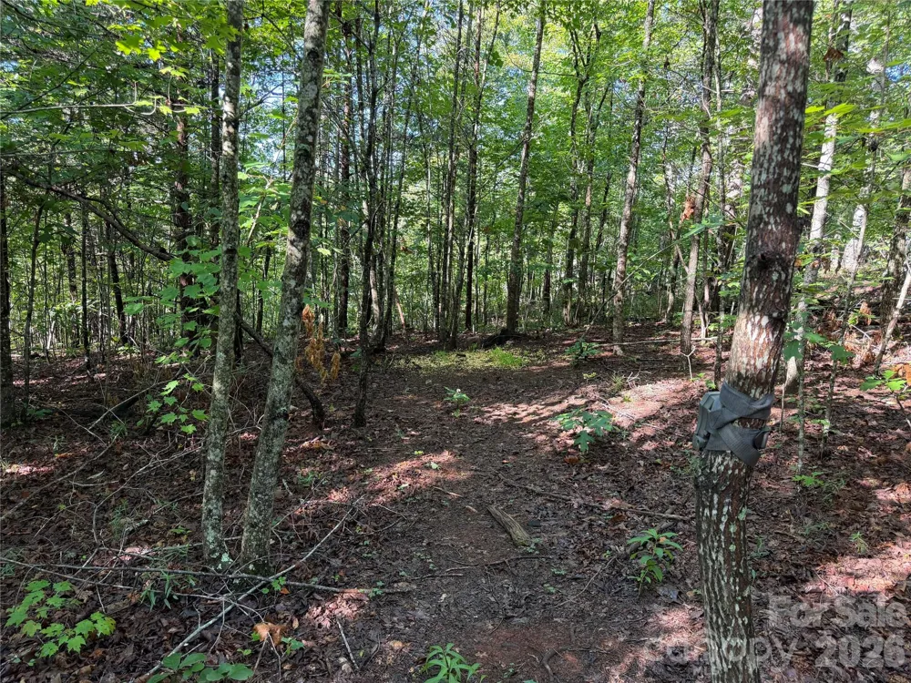 00 226 Highway S Union Mills, NC 28167