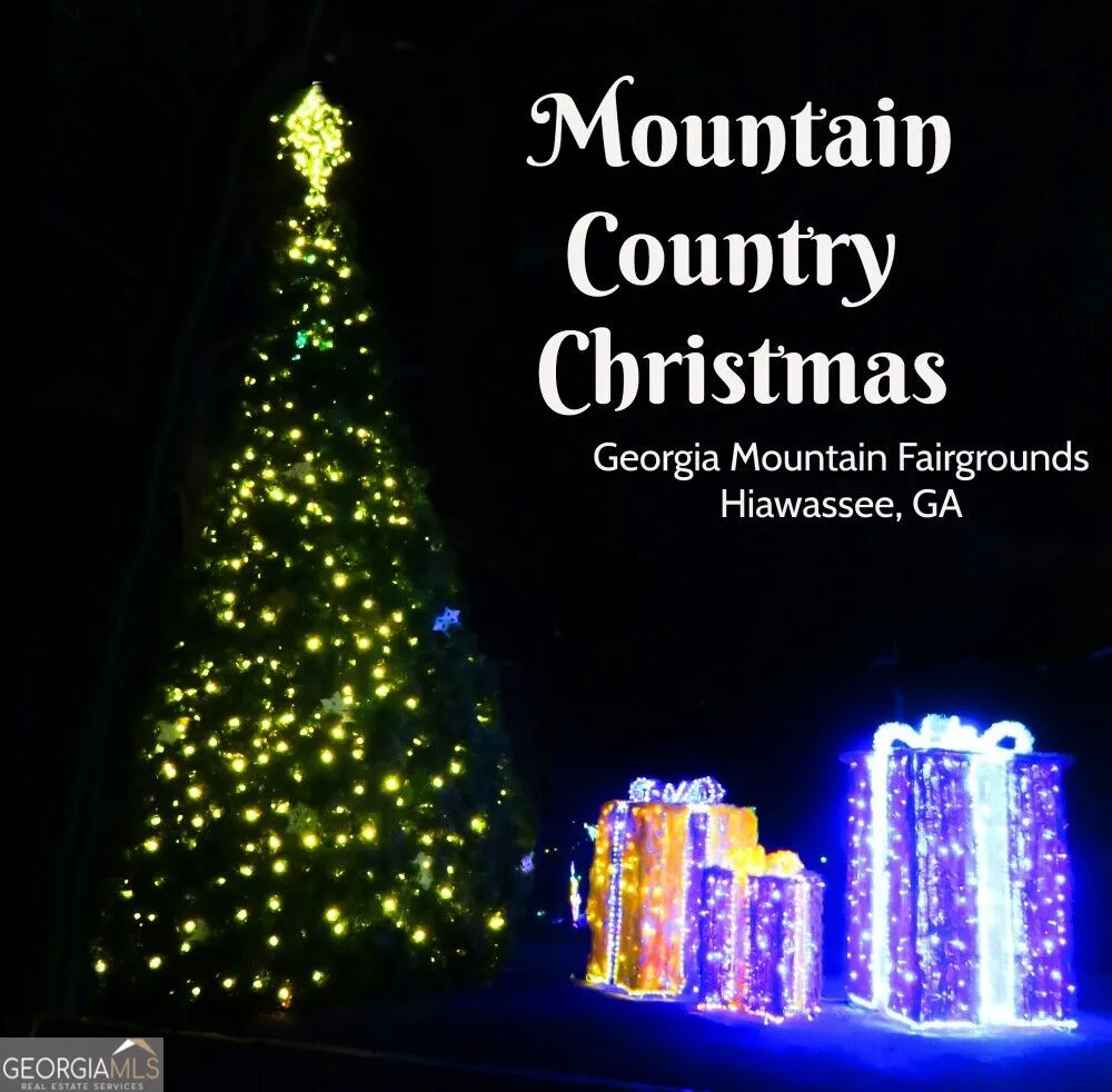 LOT 4 Mill Ridge RD Hiawassee, GA 30546