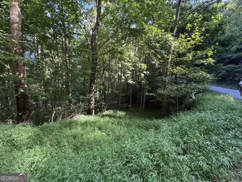 LOT 4 Mill Ridge RD