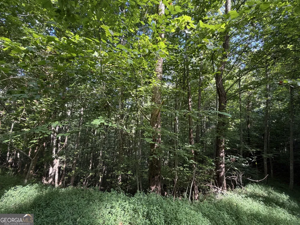 LOT 4 Mill Ridge RD Hiawassee, GA 30546