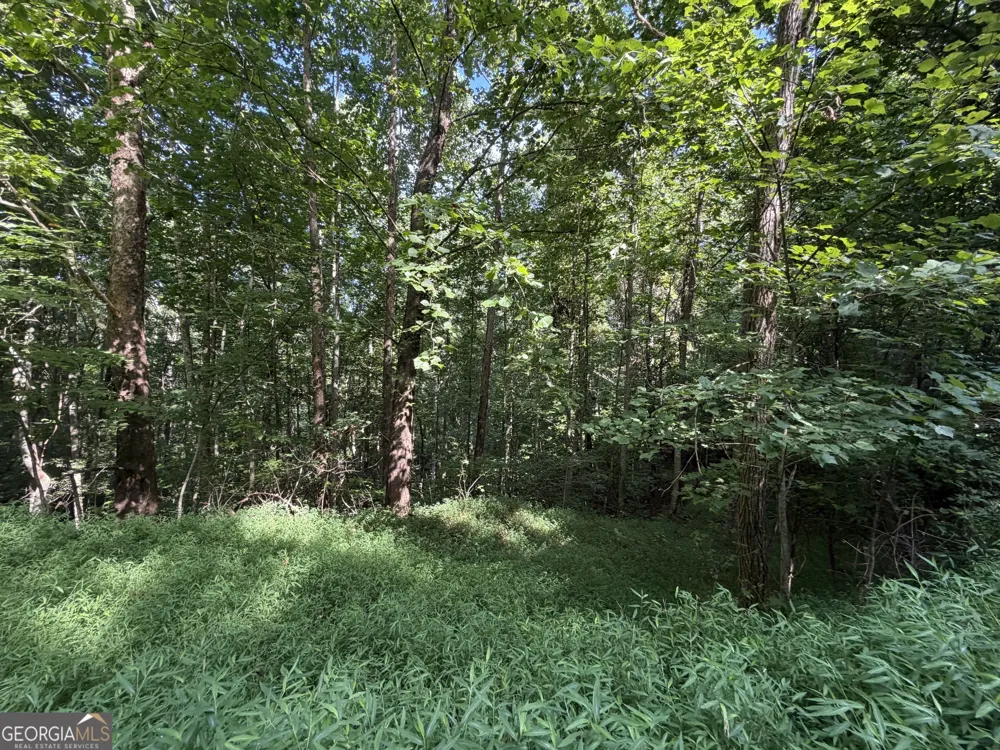 LOT 4 Mill Ridge RD Hiawassee, GA 30546