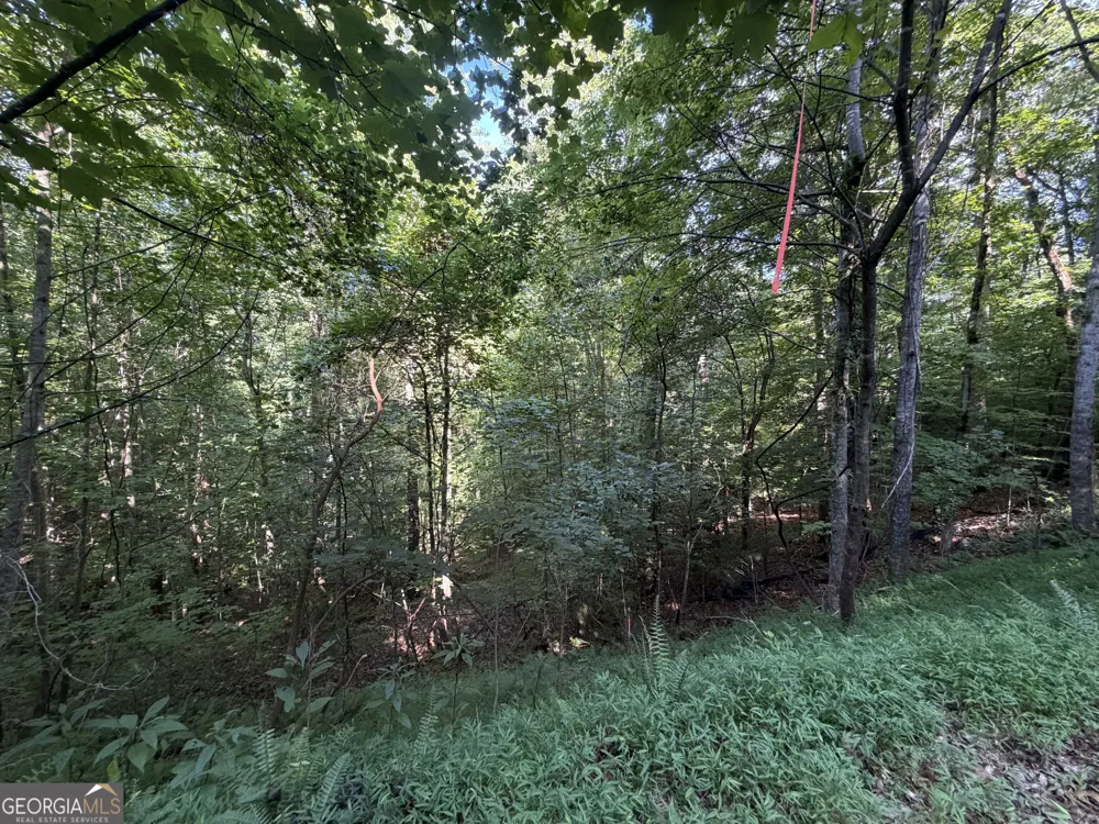 LOT 4 Mill Ridge RD Hiawassee, GA 30546