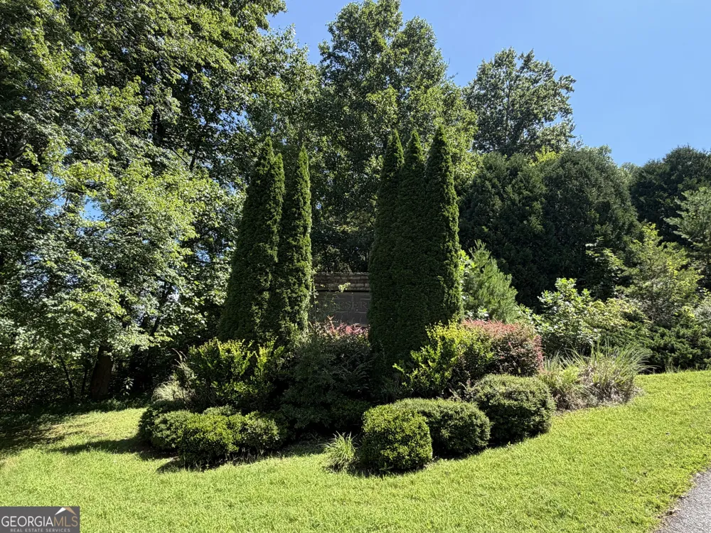 LOT 5 Mill Ridge RD Hiawassee, GA 30546