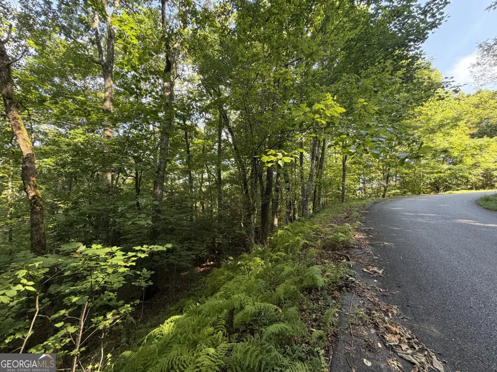 LOT 5 Mill Ridge RD Hiawassee, GA 30546