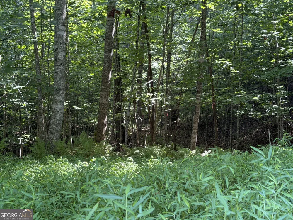 LOT 5 Mill Ridge RD Hiawassee, GA 30546