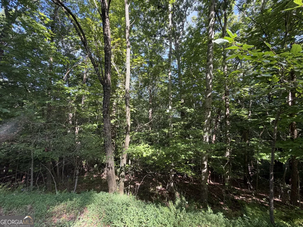 LOT 5 Mill Ridge RD Hiawassee, GA 30546