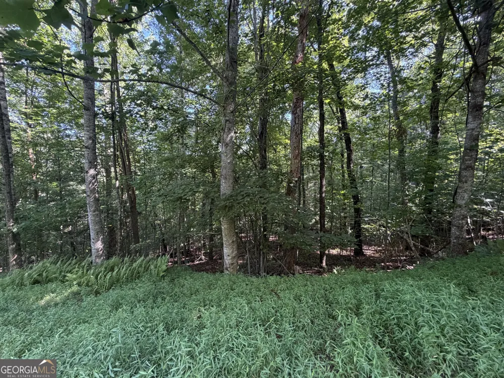 LOT 5 Mill Ridge RD Hiawassee, GA 30546