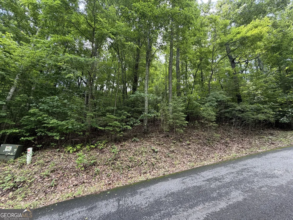 LOT 6 & 7 Mill Ridge RD Hiawassee, GA 30546