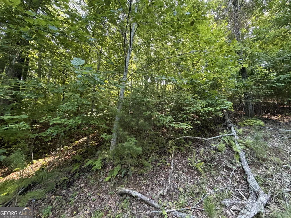 LOT 6 & 7 Mill Ridge RD Hiawassee, GA 30546