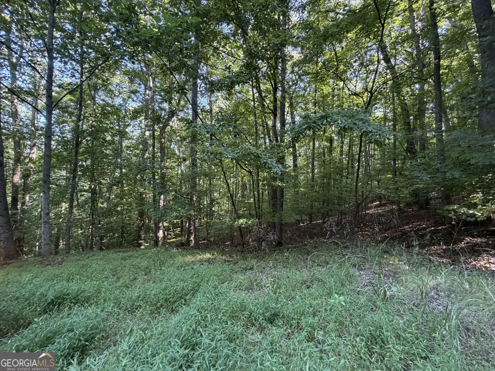 LOT 6 & 7 Mill Ridge RD Hiawassee, GA 30546
