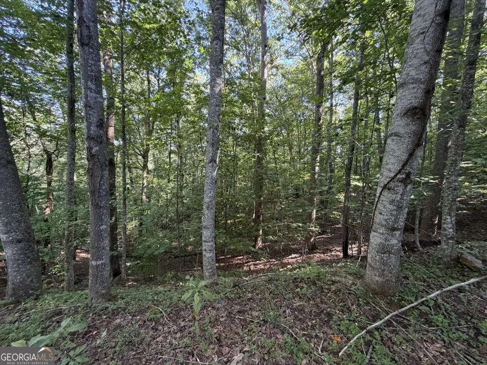LOT 6 & 7 Mill Ridge RD Hiawassee, GA 30546