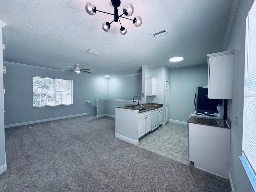233 SOUTHERN PECAN CIRCLE #101 Winter Garden, FL 34787