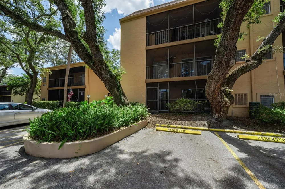 4411 SHADY TERRACE LANE #115 Tampa, FL 33613
