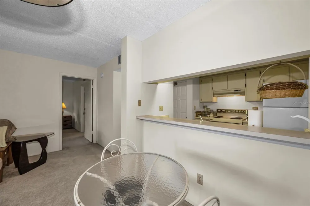 4411 SHADY TERRACE LANE #115 Tampa, FL 33613