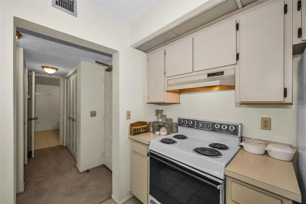 4411 SHADY TERRACE LANE #115 Tampa, FL 33613