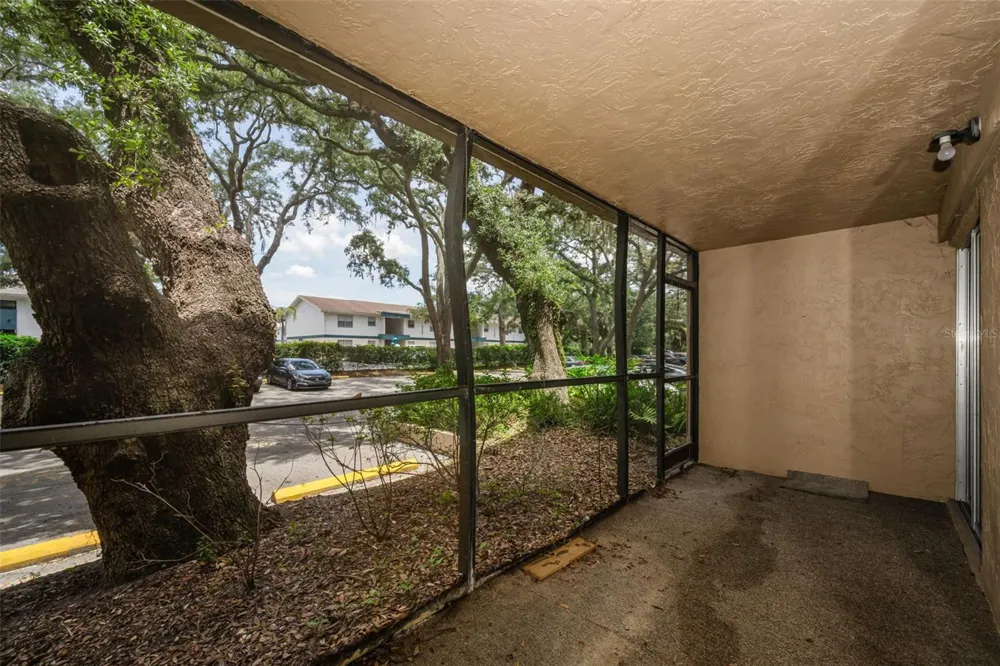 4411 SHADY TERRACE LANE #115 Tampa, FL 33613