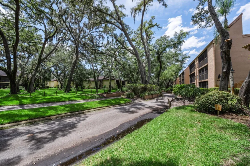 4411 SHADY TERRACE LANE #115 Tampa, FL 33613