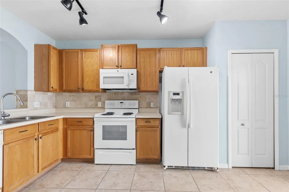 16221 SWAN VIEW CIRCLE Odessa, FL 33556