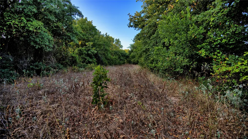 Ten Point Road Nocona, TX 76255