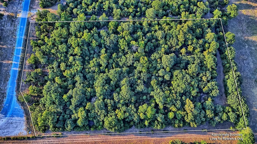 Ten Point Road Nocona, TX 76255