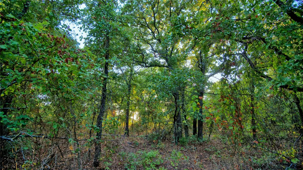 Ten Point Road Nocona, TX 76255
