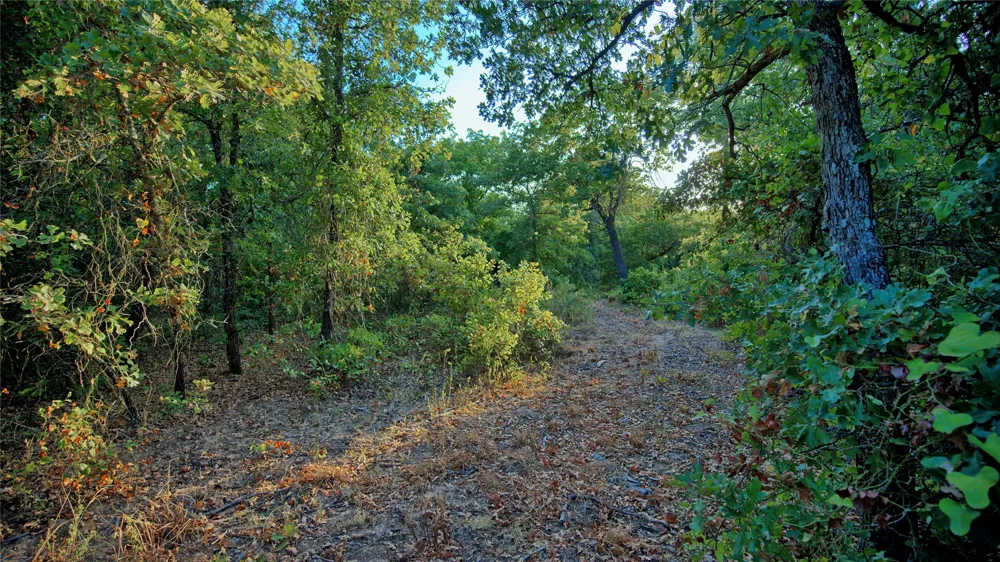 Ten Point Road Nocona, TX 76255
