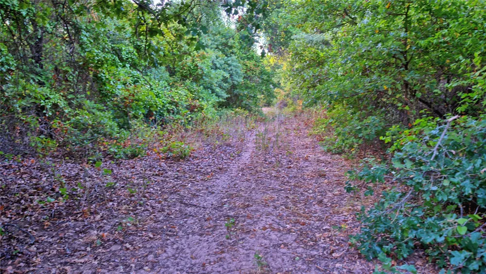 Ten Point Road Nocona, TX 76255