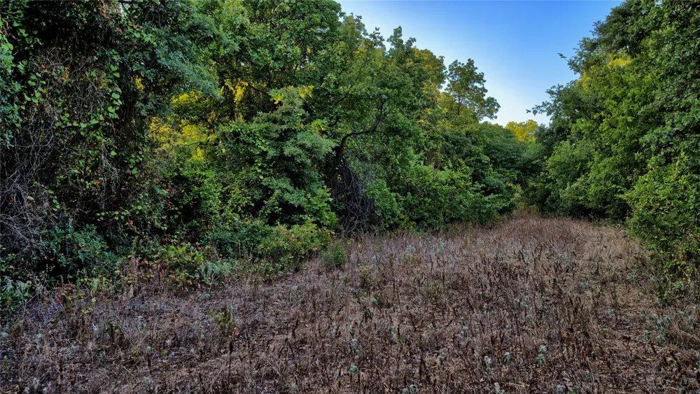 Ten Point Road Nocona, TX 76255