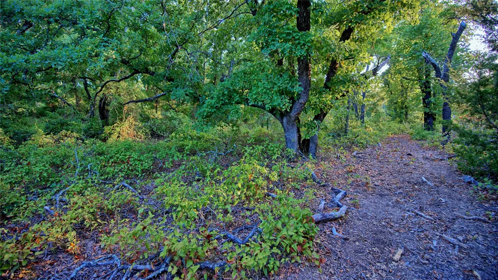 Ten Point Road Nocona, TX 76255