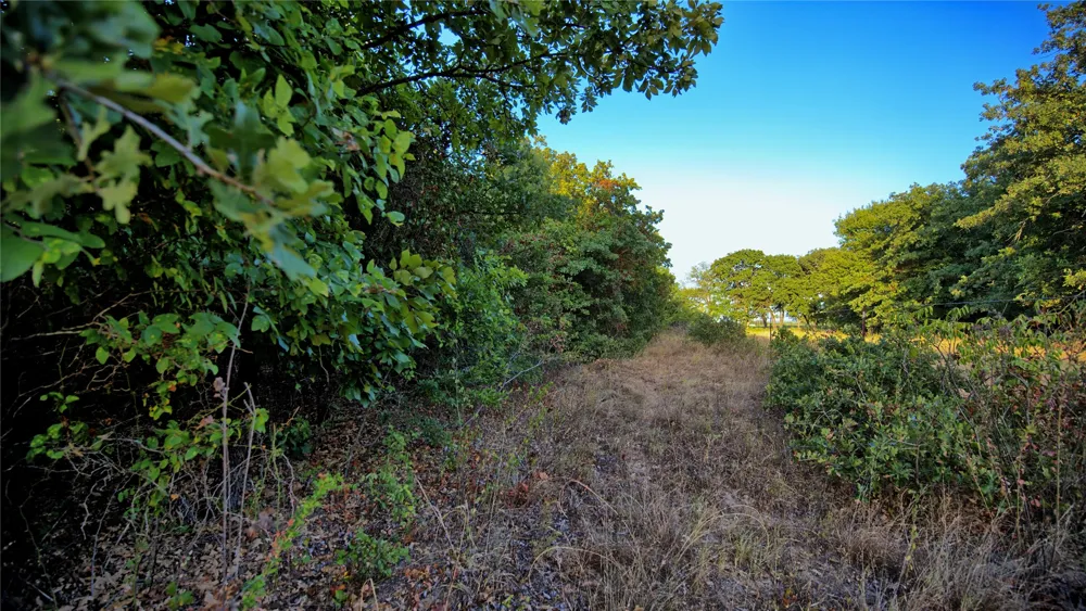 Ten Point Road Nocona, TX 76255